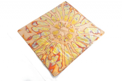 Foglia Variegata Rame Girasole 
